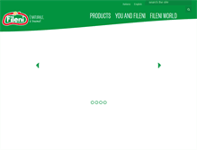 Tablet Screenshot of fileni.com
